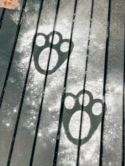 Easter Bunny Paw Prints